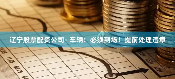 辽宁股票配资公司- 车辆：必须到场！提前处理违章