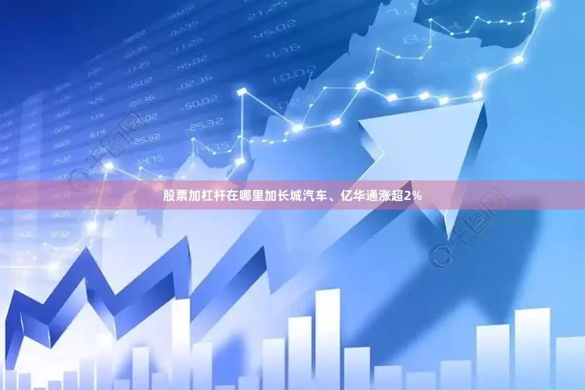 股票加杠杆在哪里加长城汽车、亿华通涨超2%