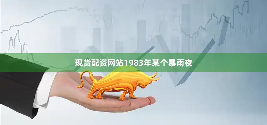 现货配资网站1983年某个暴雨夜