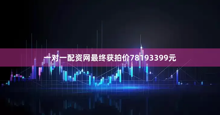 一对一配资网最终获拍价78193399元